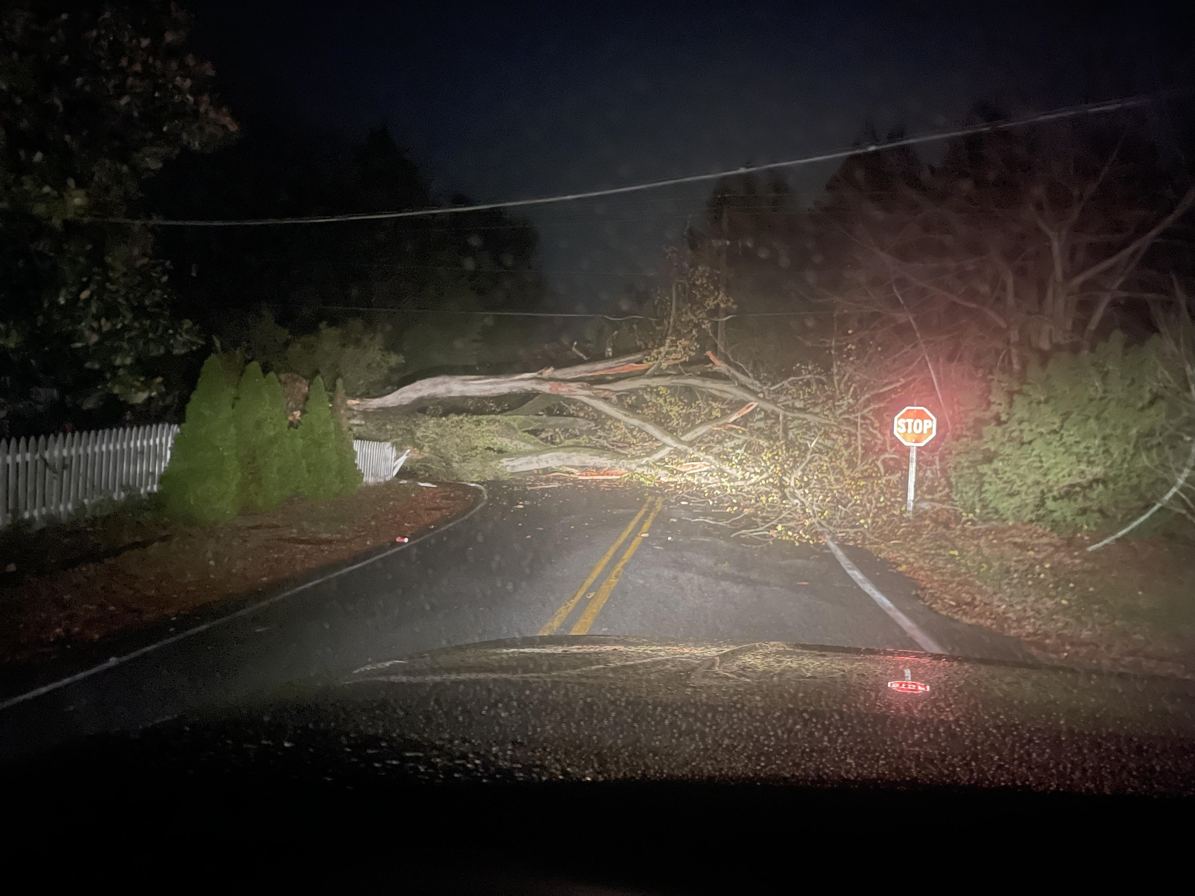 Storm Cleanup